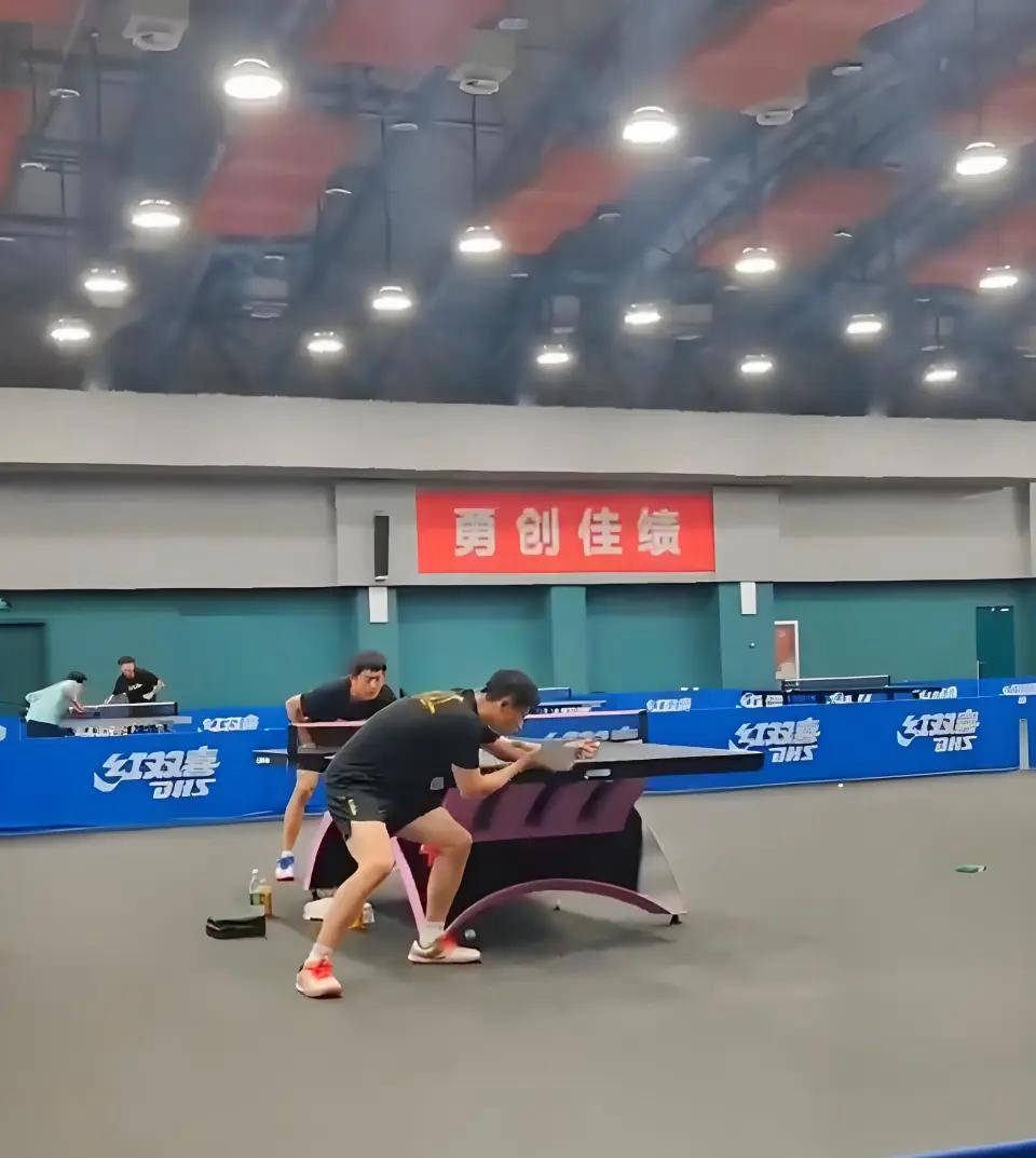 关于比利时乒乓球队险胜瑞典乒乓球队，马龙绝境逆转的信息