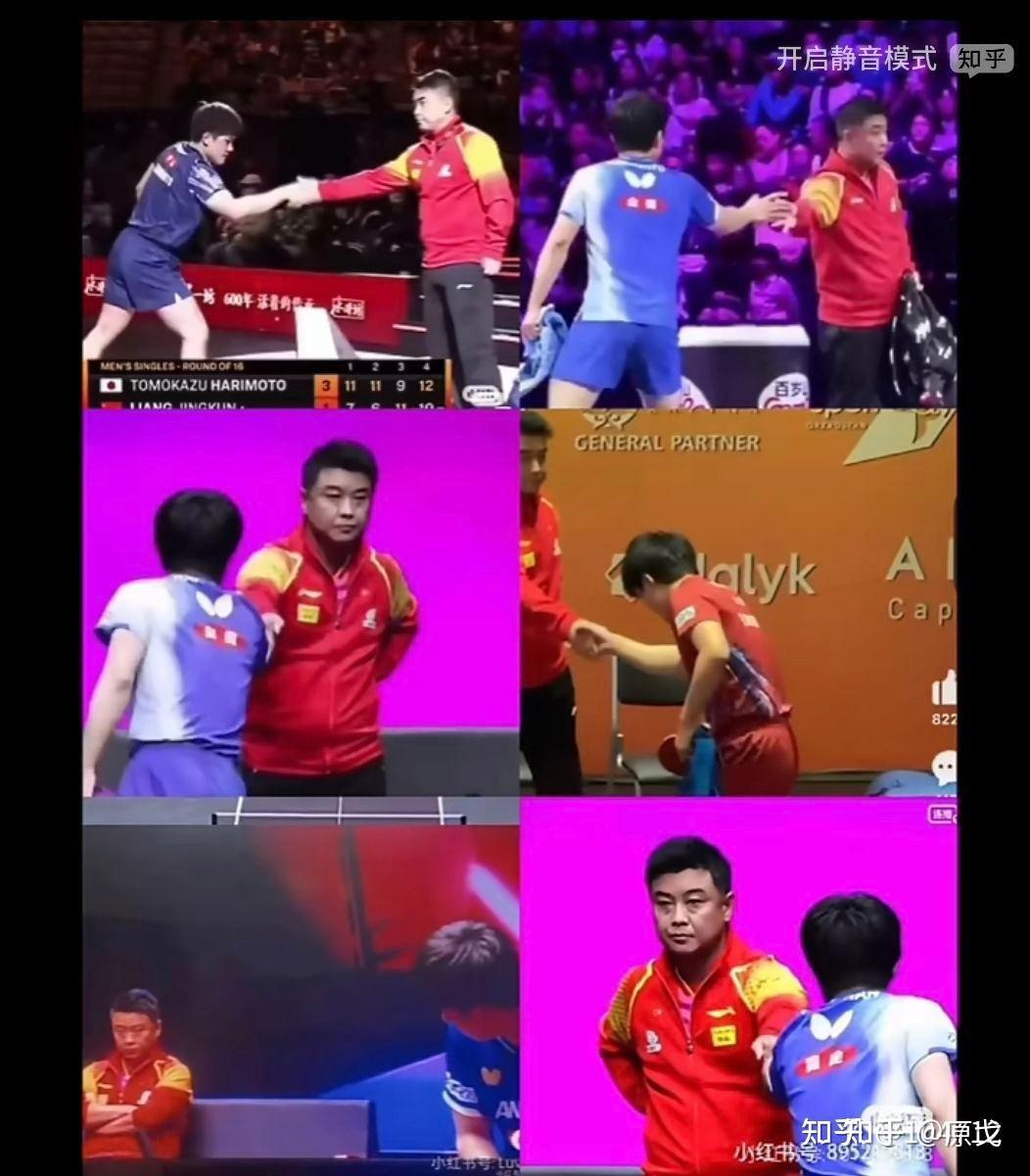 九游娱乐官方-比利时乒乓球队力克英国乒乓球队，王皓统治全场的简单介绍