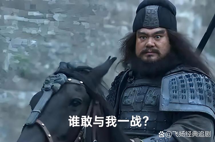 热血沸腾的决战，豪情万丈的传奇的简单介绍